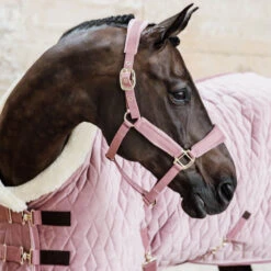 Kentucky Horsewear Velvet Show Rug - Old Rose UK | Just Equine
