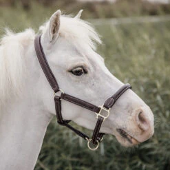 Kentucky Horsewear Leather Halter Sheepskin UK | Just Equine -Horse Haven Shop Kentucky Leather Sheepskin Pony Halter