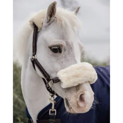 Kentucky Horsewear Leather Halter Sheepskin UK | Just Equine -Horse Haven Shop Kentucky Leather Sheepskin Pony Halter3