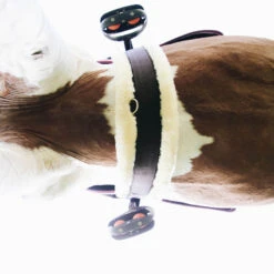 Best Seller Kentucky Sheepskin Elasticated Girth UK | 7 Best Seller Kentucky Sheepskin Elasticated Girth UK | -Horse Haven Shop Kentucky Sheepskin Elasticated Girth 3