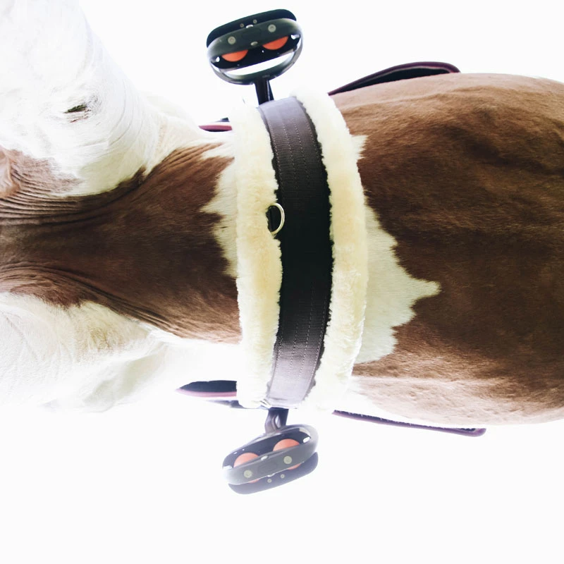 Best Seller Kentucky Sheepskin Elasticated Girth UK | 3 Best Seller Kentucky Sheepskin Elasticated Girth UK | - Image 3