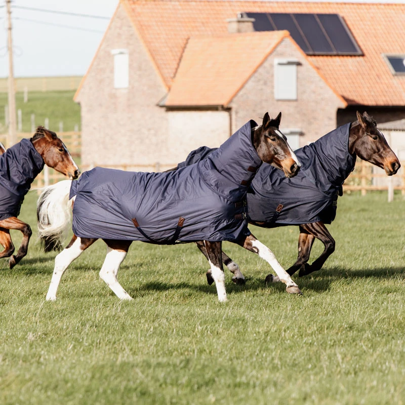 Kentucky Turnout Rug Quick Dry Fleece 150g UK | Just Equine 2 Kentucky Turnout Rug Quick Dry Fleece 150g UK | Just Equine - Image 2