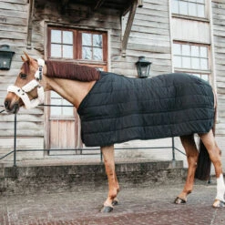 Kentucky Under Rug Skin Friendly 150g - Black UK | Just Equine