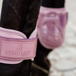 NEW Kentucky Young Horse Fetlock Boots Air UK | Just Equine -Horse Haven Shop Kentucky Young Horse Fetlock Boots Air Pink 1