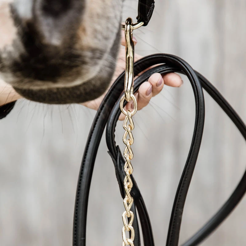 Kentucky Horsewear Leather Lead Chain UK | Just Equine 1 Kentucky Horsewear Leather Lead Chain UK | Just Equine