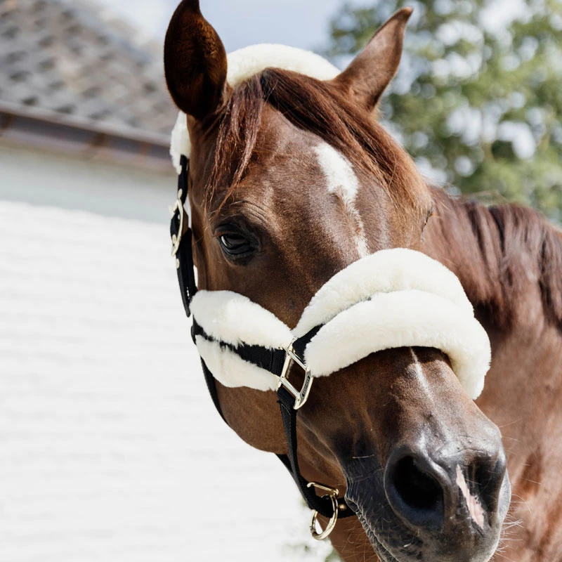 Kentucky Horsewear Nylon Sheepskin Halter Soft UK | Just Equine 2 Kentucky Horsewear Nylon Sheepskin Halter Soft UK | Just Equine - Image 2
