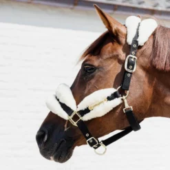 Kentucky Horsewear Nylon Sheepskin Halter Soft UK | Just Equine