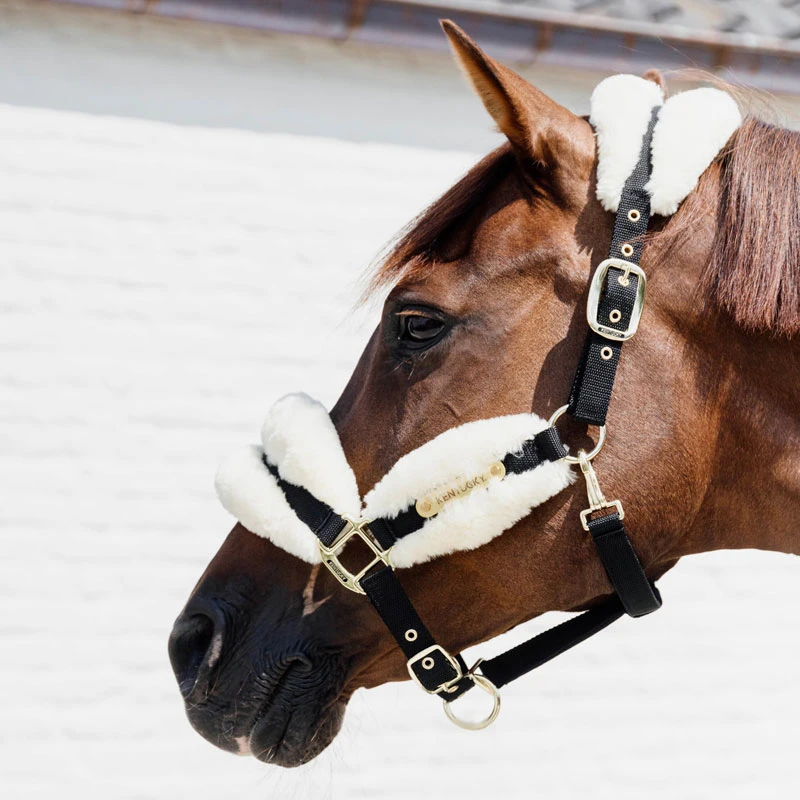 Kentucky Horsewear Nylon Sheepskin Halter Soft UK | Just Equine 1 Kentucky Horsewear Nylon Sheepskin Halter Soft UK | Just Equine