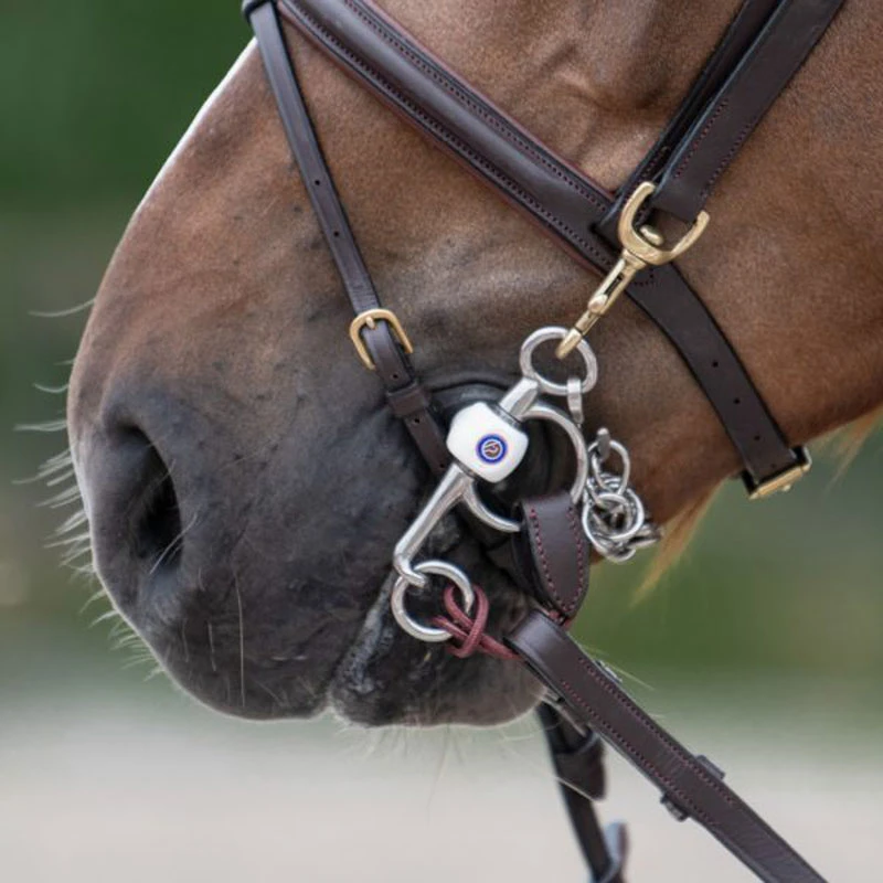 One Equestrian Training Bridle With Reins UK | Just Equine 3 One Equestrian Training Bridle With Reins UK | Just Equine - Image 3