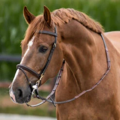 One Equestrian Training Bridle With Reins UK | Just Equine