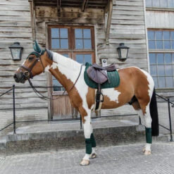 Polar Fleece Bandages Velvet Pearls UK | Just Equine -Horse Haven Shop Polar Fleece Bandages Velvet Pearls Pine Green Matching