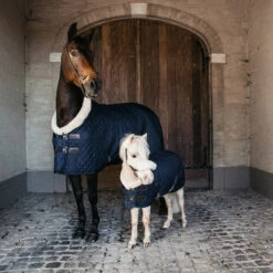 Kentucky Horsewear Pony Show Rug UK | Just Equine 5 Kentucky Horsewear Pony Show Rug UK | Just Equine -Horse Haven Shop Pony Show Rug Navy Pair