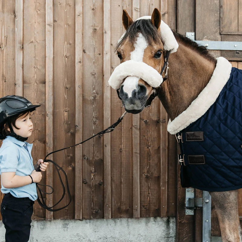 Kentucky Horsewear Pony Show Rug UK | Just Equine 2 Kentucky Horsewear Pony Show Rug UK | Just Equine - Image 2