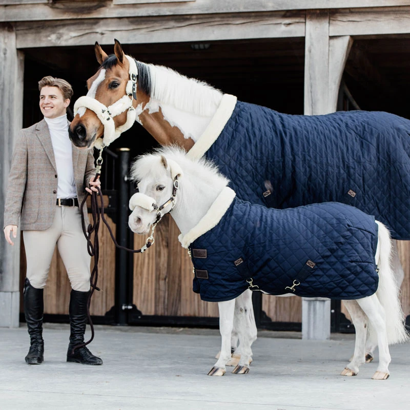 Kentucky Horsewear Pony Show Rug UK | Just Equine 1 Kentucky Horsewear Pony Show Rug UK | Just Equine
