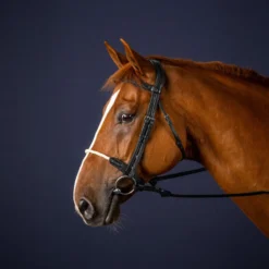 Dy'on New English Collection Rope Noseband Bridle UK | Just Equine 6 Dy'on New English Collection Rope Noseband Bridle UK | Just Equine -Horse Haven Shop Rope Noseband Bridle Black 1