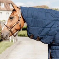 Kentucky Horsewear Skin Friendly Under Rug Neck UK | Just Equine 10 Kentucky Horsewear Skin Friendly Under Rug Neck UK | Just Equine -Horse Haven Shop Skin Friendly Under Rug Neck 150g Neck