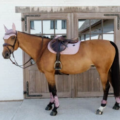 Kentucky Horsewear Tendon Boots Bamboo Elastic Velvet - Old Rose UK | Just Equine -Horse Haven Shop Tendon Boots Bamboo Elastic Velvet Old Rose Horse