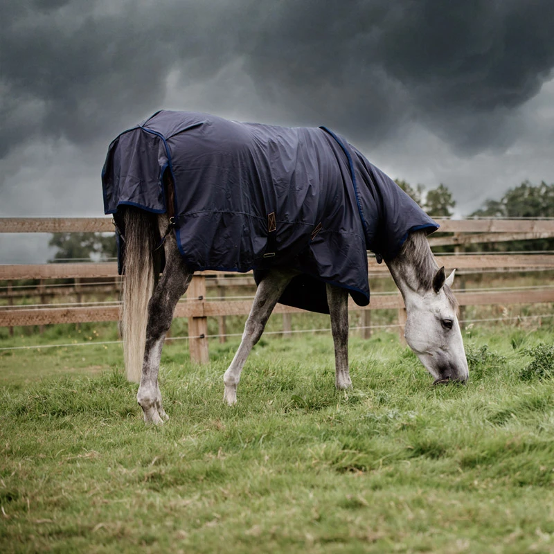 The Best Turnout Rug All Weather Hurricane UK | Just Equine 1 The Best Turnout Rug All Weather Hurricane UK | Just Equine