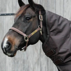 Turnout Rug Pro Neck Cover 150g - Brown UK | Just Equine 5 Turnout Rug Pro Neck Cover 150g - Brown UK | Just Equine -Horse Haven Shop Turnout Rug All Weather Pro Neck Cover Brown