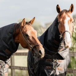 Turnout Rug All Weather Waterproof Classic - 300g UK | Just Equine 10 Turnout Rug All Weather Waterproof Classic - 300g UK | Just Equine -Horse Haven Shop Turnout Rug All Weather Waterproof Classic 4 3
