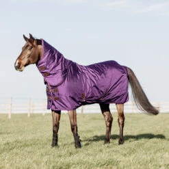 Kentucky Horsewear Turnout Rug Pro 160g Royal Purple UK | Just Equine