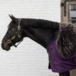 Kentucky Horsewear Turnout Rug Pro 160g Royal Purple UK | Just Equine 9 Kentucky Horsewear Turnout Rug Pro 160g Royal Purple UK | Just Equine -Horse Haven Shop Turnout Rug Pro Royal Purple