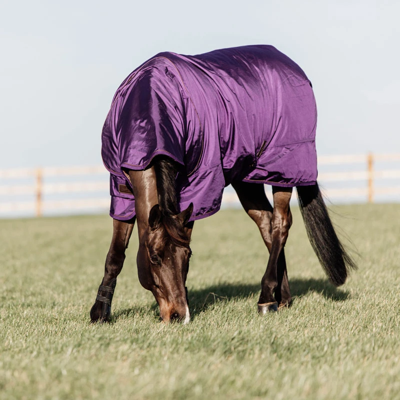 Kentucky Horsewear Turnout Rug Pro 160g Royal Purple UK | Just Equine 2 Kentucky Horsewear Turnout Rug Pro 160g Royal Purple UK | Just Equine - Image 2