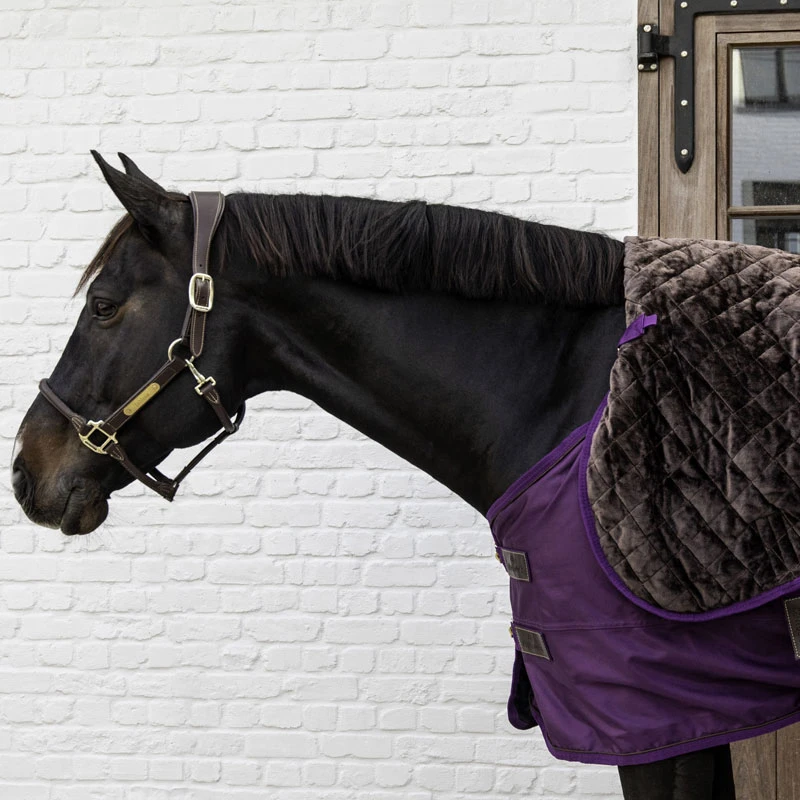 Kentucky Horsewear Turnout Rug Pro 160g Royal Purple UK | Just Equine 5 Kentucky Horsewear Turnout Rug Pro 160g Royal Purple UK | Just Equine - Image 5