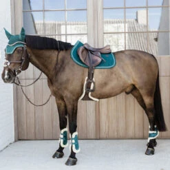 Vegan Sheepskin Tendon Boots Bamboo Elastic Velvet - Emerald UK | Just Equine 6 Vegan Sheepskin Tendon Boots Bamboo Elastic Velvet - Emerald UK | Just Equine -Horse Haven Shop Vegan Sheepskin Tendon Boots Bamboo Elastic Velvet Emerald 2