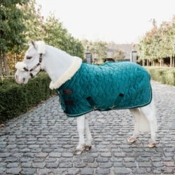 Velvet Pony Show Rug - Emerald UK | Just Equine