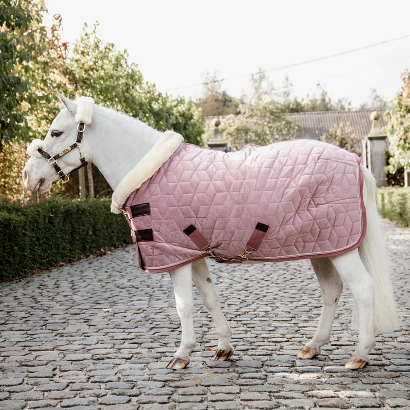 Velvet Pony Show Rug - Old Rose UK | Just Equine 1 Velvet Pony Show Rug - Old Rose UK | Just Equine