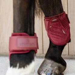 Kentucky Horsewear Young Horse Fetlock Boots Velvet - Bordeaux UK | Just Equine 5 Kentucky Horsewear Young Horse Fetlock Boots Velvet - Bordeaux UK | Just Equine -Horse Haven Shop Young Horse Fetlock Boots Velvet Bordeaux 2
