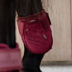 Kentucky Horsewear Young Horse Fetlock Boots Velvet - Bordeaux UK | Just Equine