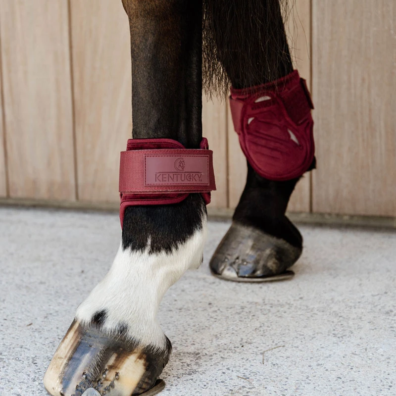 Kentucky Horsewear Young Horse Fetlock Boots Velvet - Bordeaux UK | Just Equine 2 Kentucky Horsewear Young Horse Fetlock Boots Velvet - Bordeaux UK | Just Equine - Image 2