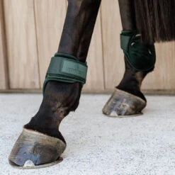 Kentucky Horsewear Young Horse Fetlock Boots Velvet - Dark Green UK | Just Equine