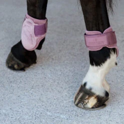 Kentucky Horsewear Young Horse Fetlock Boots Velvet - Old Rose UK | Just Equine