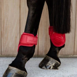Kentucky Horsewear Young Horse Fetlock Boots Velvet - Red UK | Just Equine -Horse Haven Shop Young Horse Fetlock Boots Velvet Red 2