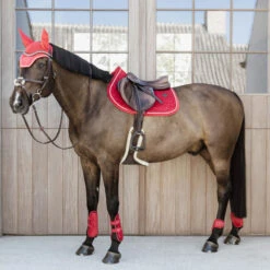 Kentucky Horsewear Young Horse Fetlock Boots Velvet - Red UK | Just Equine -Horse Haven Shop Young Horse Fetlock Boots Velvet Red Horse