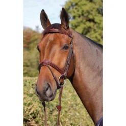 Dy'on New English Collection Flash Noseband Bridle | Just Equine