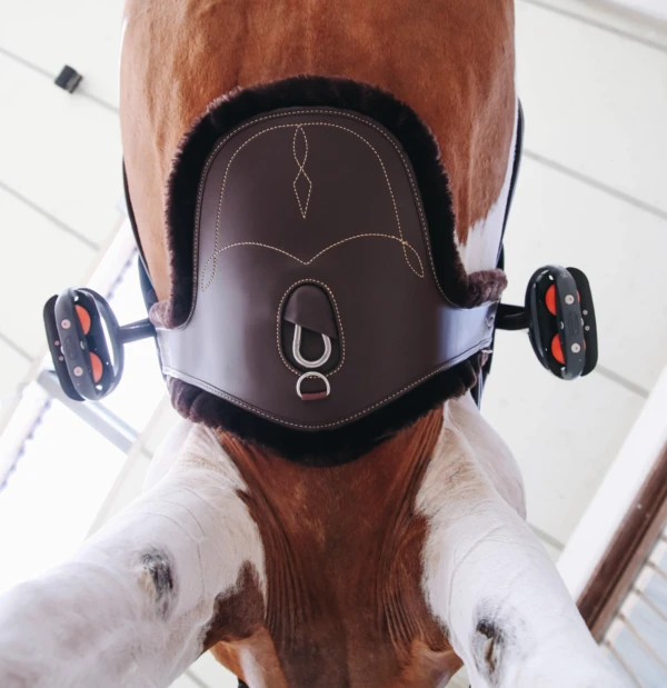 Kentucky Horsewear Sheepskin Stud Girth UK | Just Equine 3 Kentucky Horsewear Sheepskin Stud Girth UK | Just Equine - Image 3