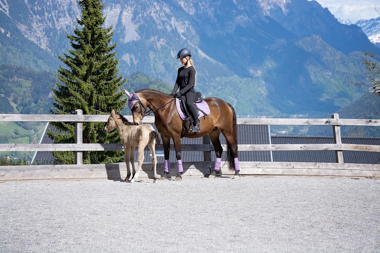 Horse Haven Shop -Horse Haven Shop horsewoman 6197169 1280