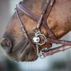 Dy'on New English Collection Converter Reins UK | Just Equine